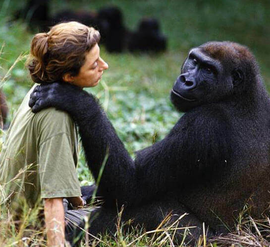primate con essere umano