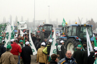 protesta allevatori
